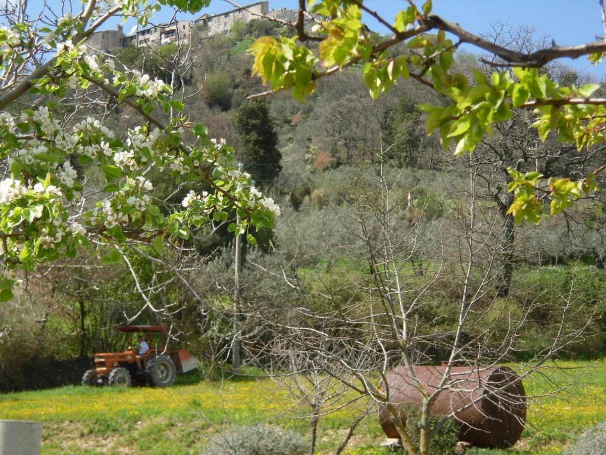 Montanari Agrivillage Narni Exterior photo