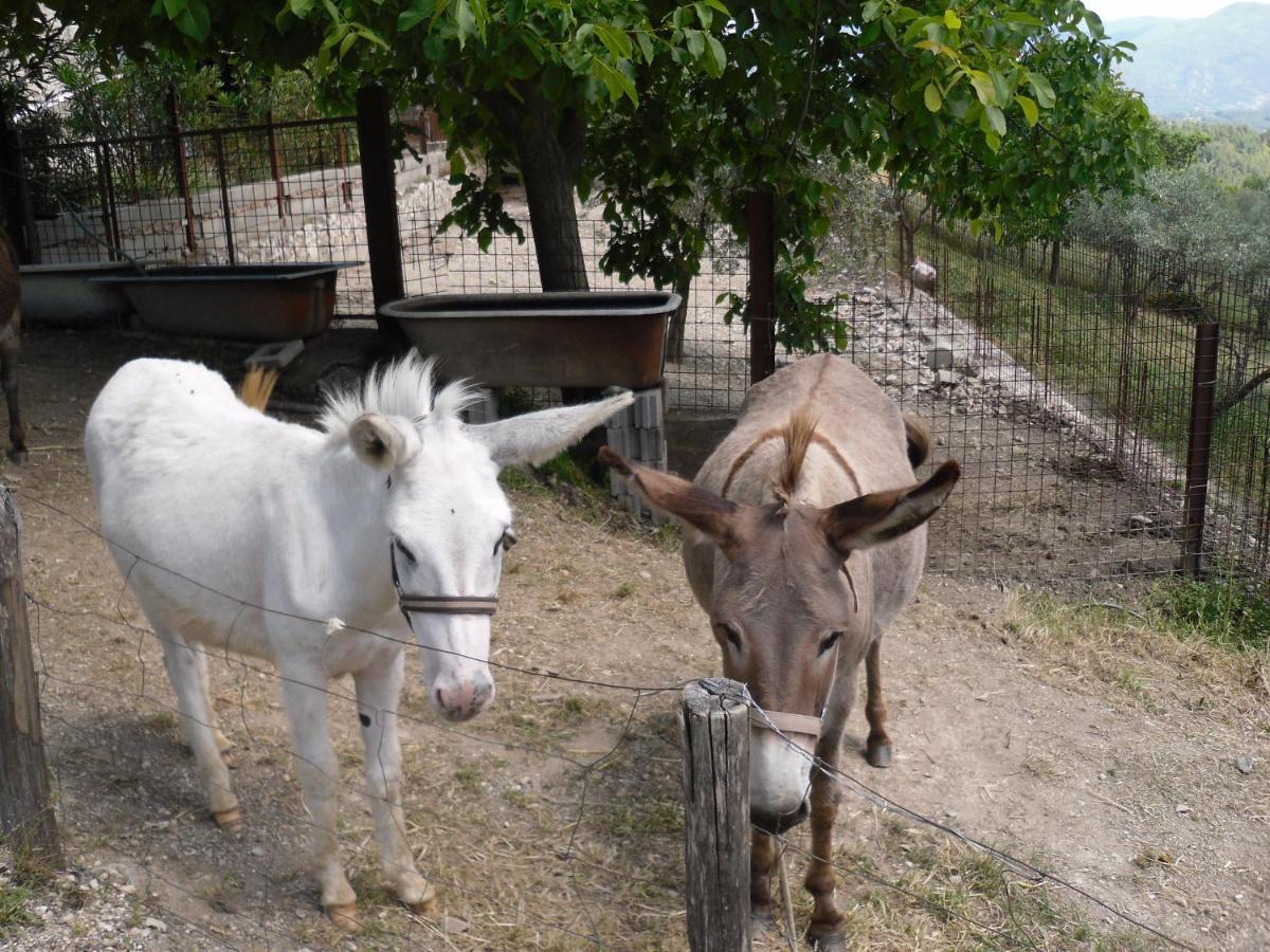 Montanari Agrivillage Narni Exterior photo