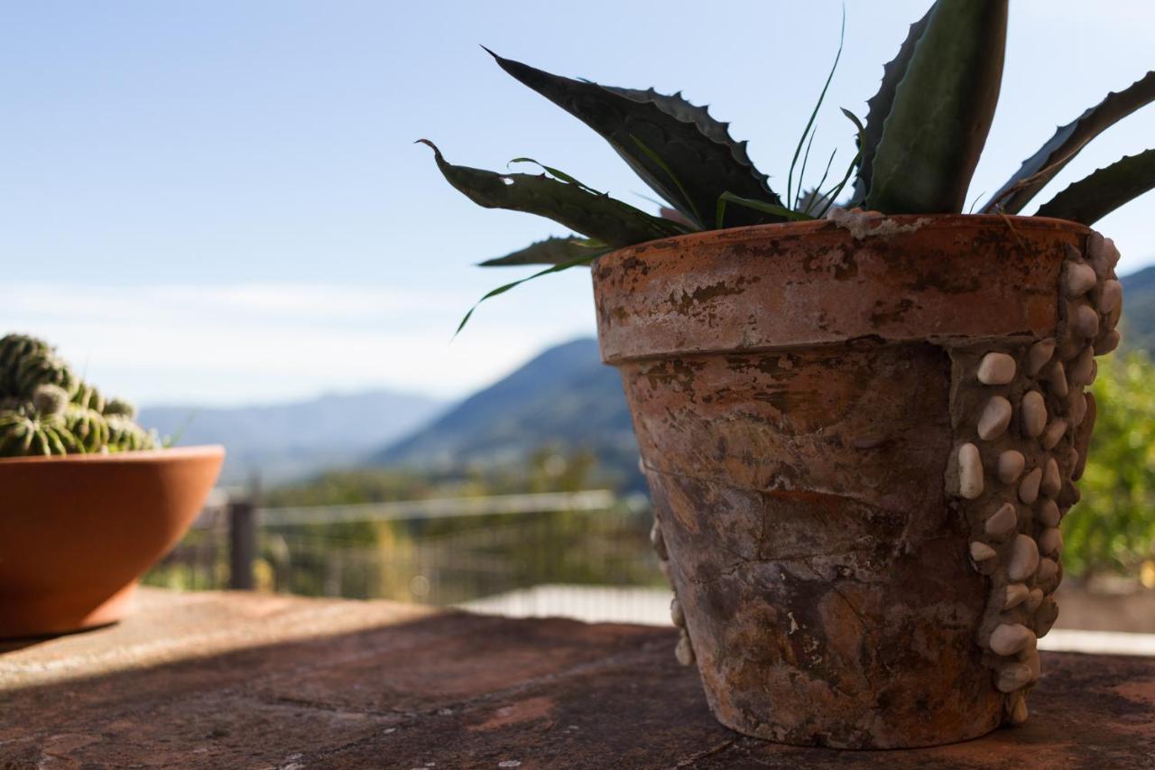 Montanari Agrivillage Narni Exterior photo